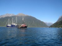 Milford Sound 6.2.2014